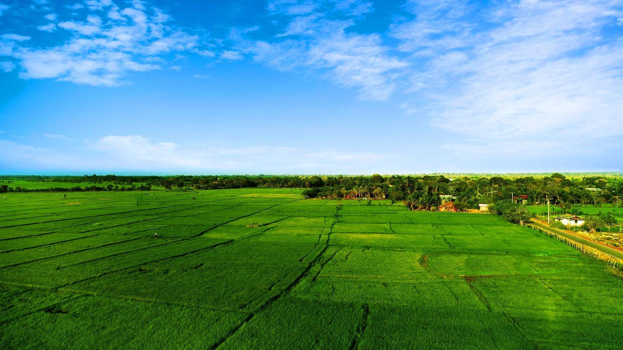 Avonil Resort Yala Tissamaharama Kültér fotó